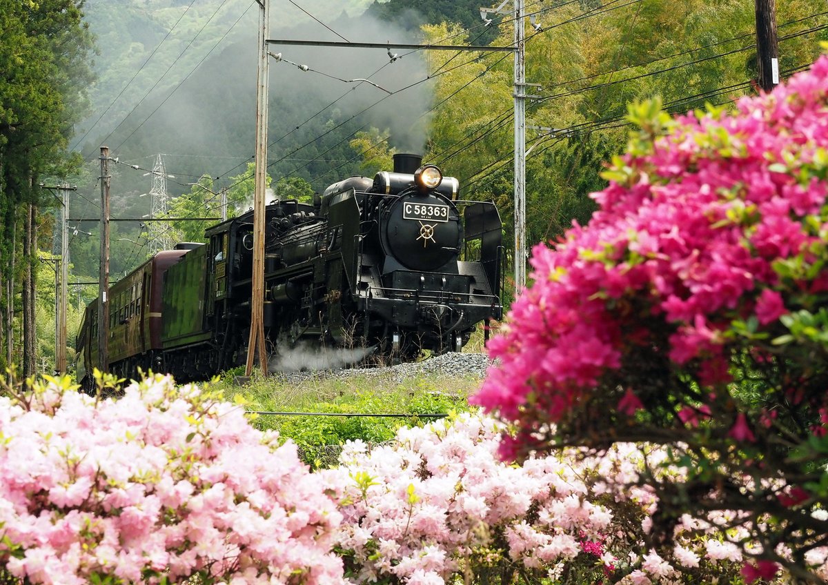 2026年9～12月のSLパレオエクスプレスの運転日を
秩父鉄道HPで公開しました🚂
chichibu-railway.co.jp/slpaleo/calend…