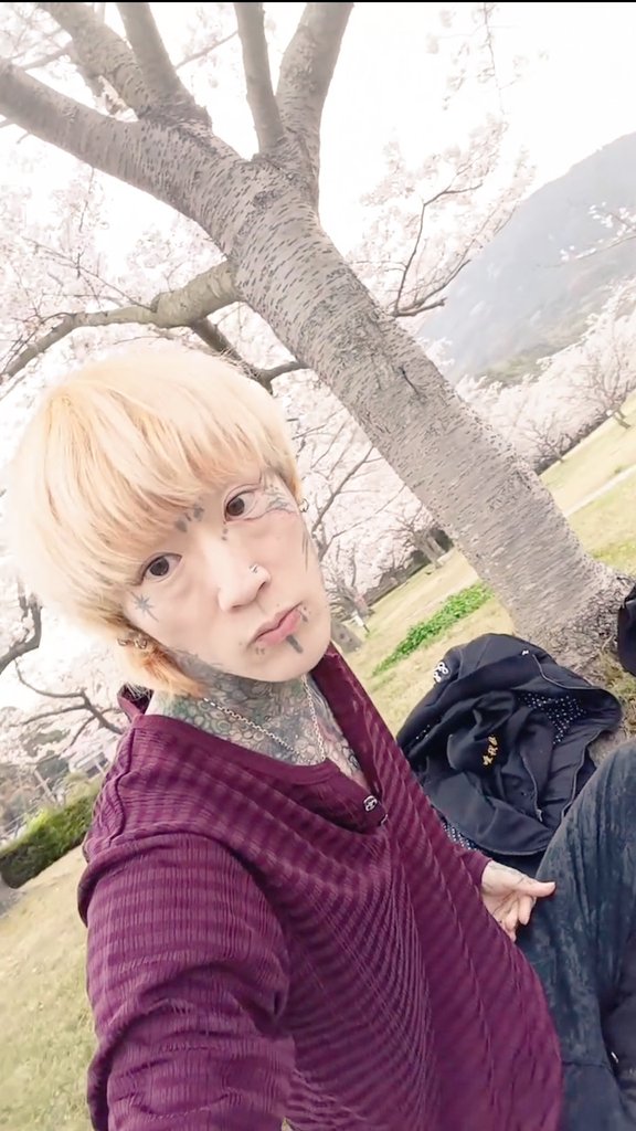 Hyrys_ncamR's tweet photo. 🌸今年は桜がいっぱい見れたわい✨😺🌸 🍱🍙🍰 https://t.co/mCFrwekNQ6