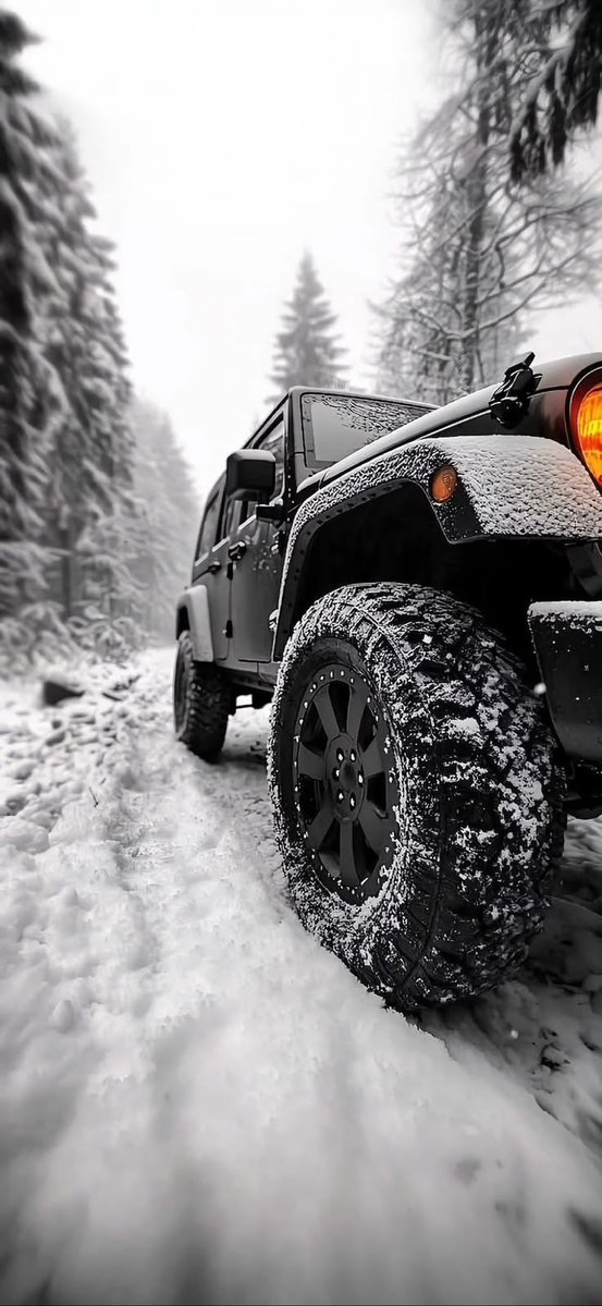 ○𝗙𝗙𝗜𝗖𝗜𝝙𝗟𝗧○𝗠𝗠𝗦𝗞𝝙𝗥𝗦𝗚𝝙𝗥𝗗 ☪ tweet media