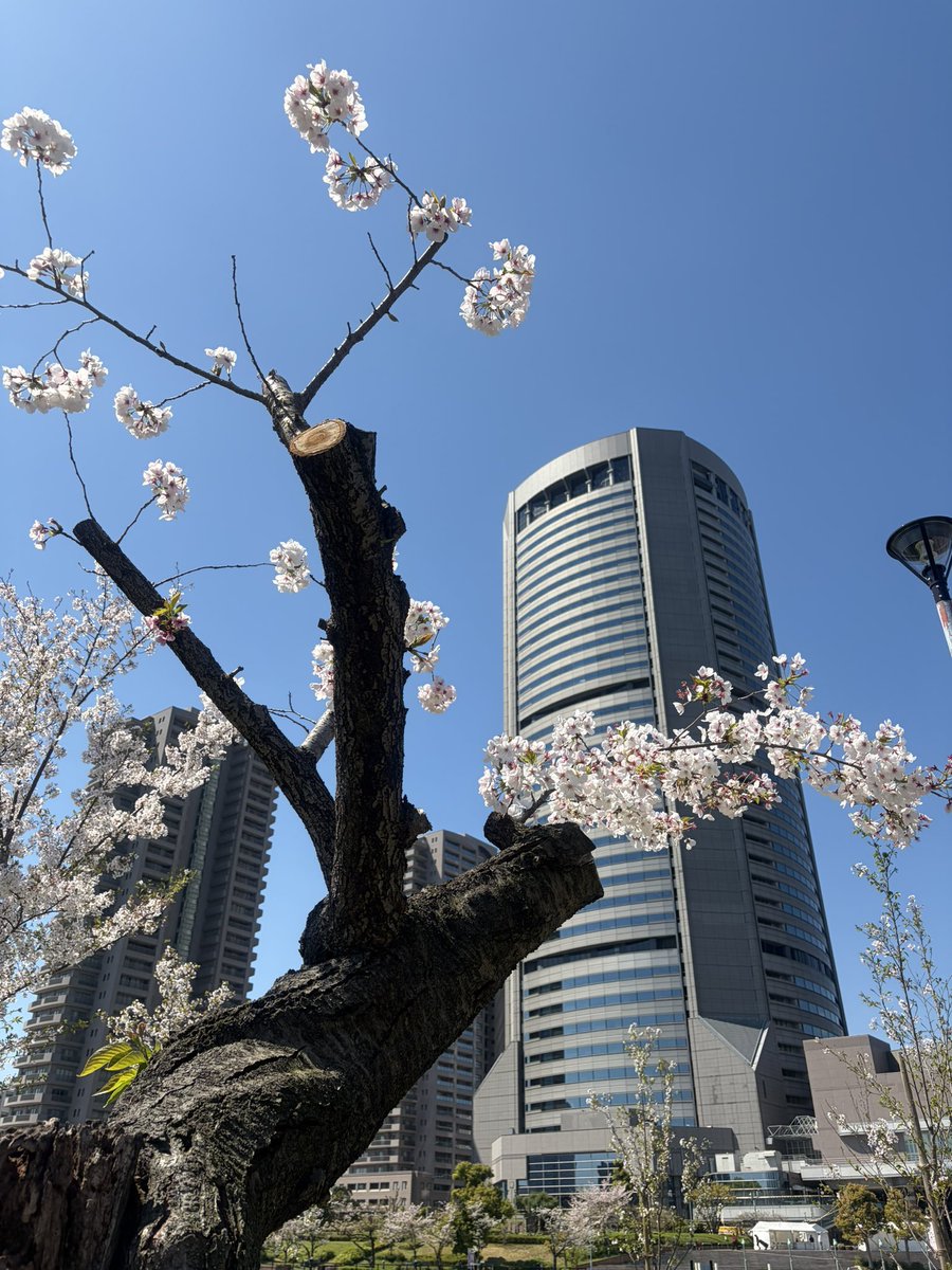 かつき tweet media