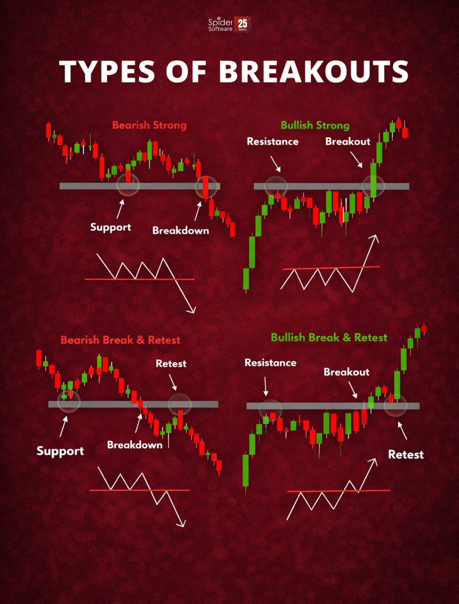 Spider Software tweet media