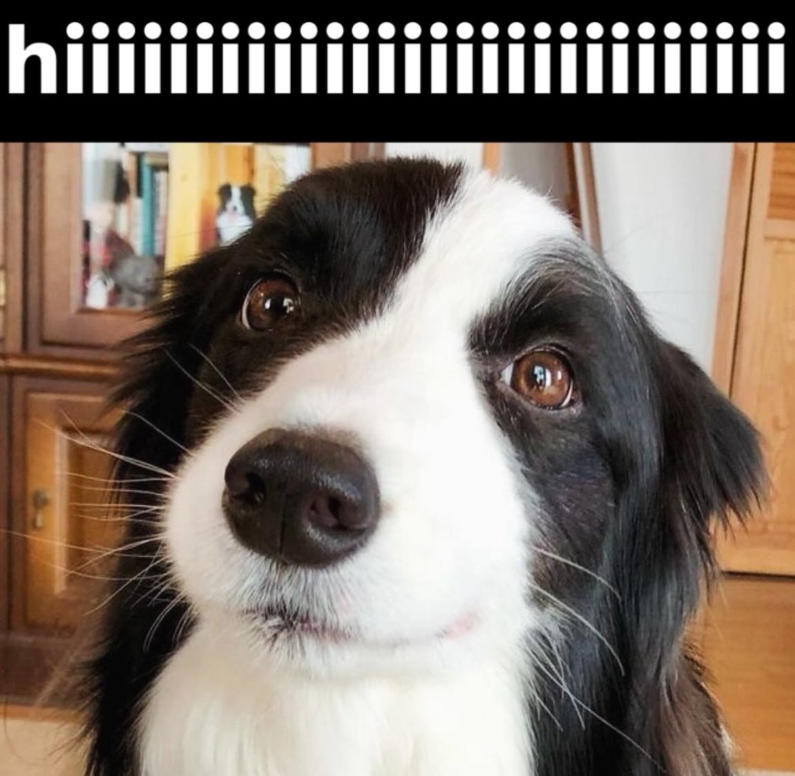 Finley Finley ⊂゚U┬────┬~ tweet media