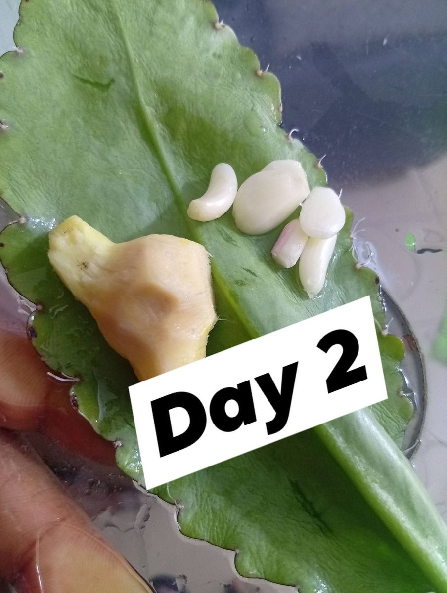 ClipStreamHQ tweet media