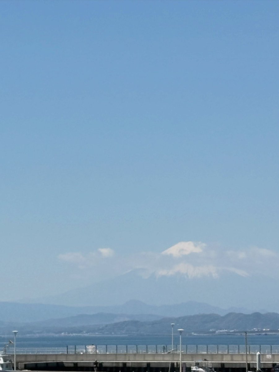 尾中 香尚里 Kaori ONAKA tweet media