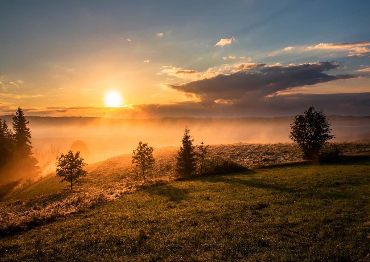 aşkımınAşkıyım tweet media