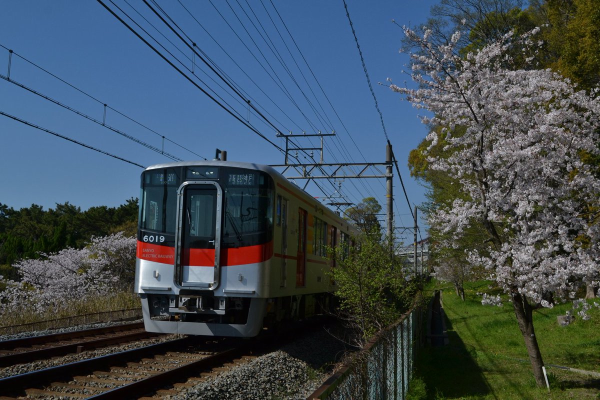 やまさん tweet media