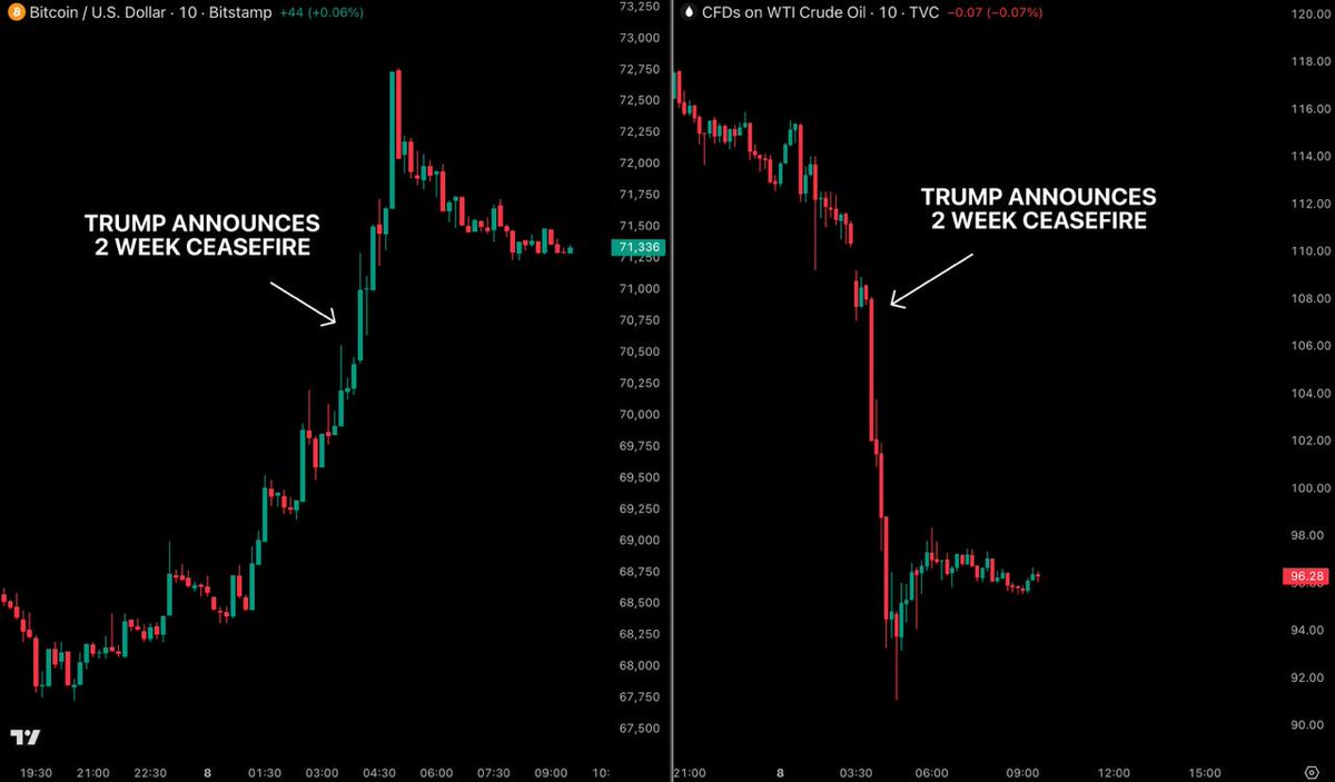 Crypto Rover tweet media