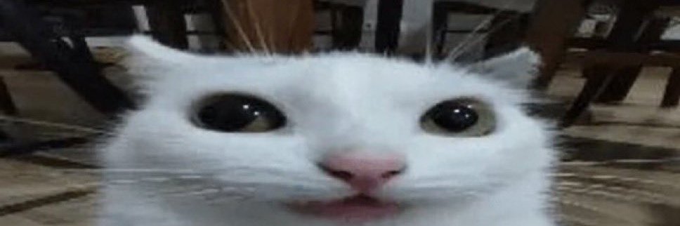 Eu a ustedes el twt de la nada les empezo s traducir todo con el grok o solo a mi?????