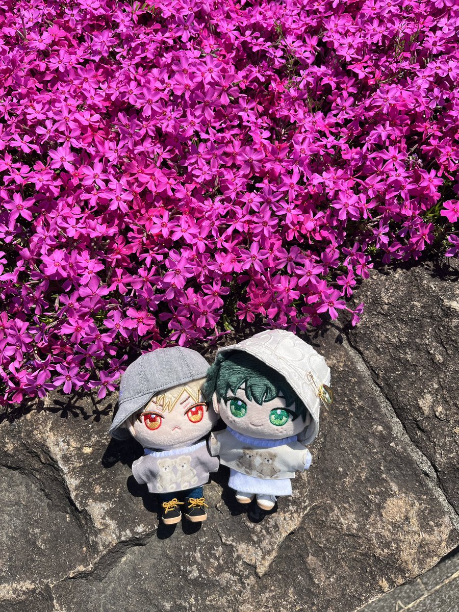 __s4h2's tweet photo. これは🌸に間に合った0377 やったね🫶 https://t.co/aFwE42p4Pv