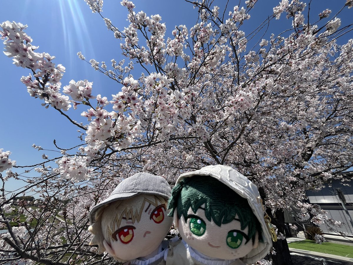 __s4h2's tweet photo. これは🌸に間に合った0377 やったね🫶 https://t.co/aFwE42p4Pv