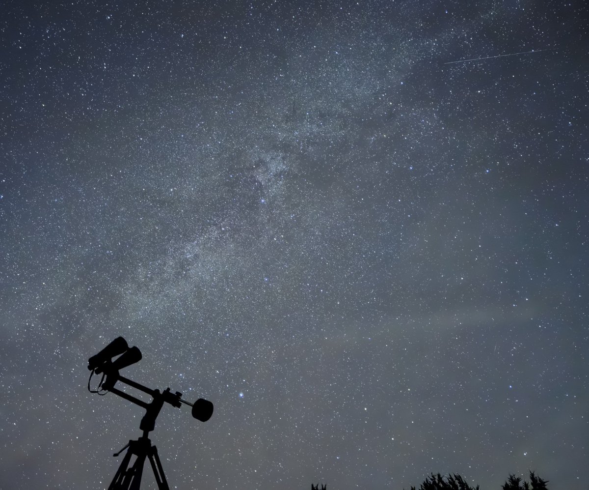 Jasmine 🌌🔭 tweet media