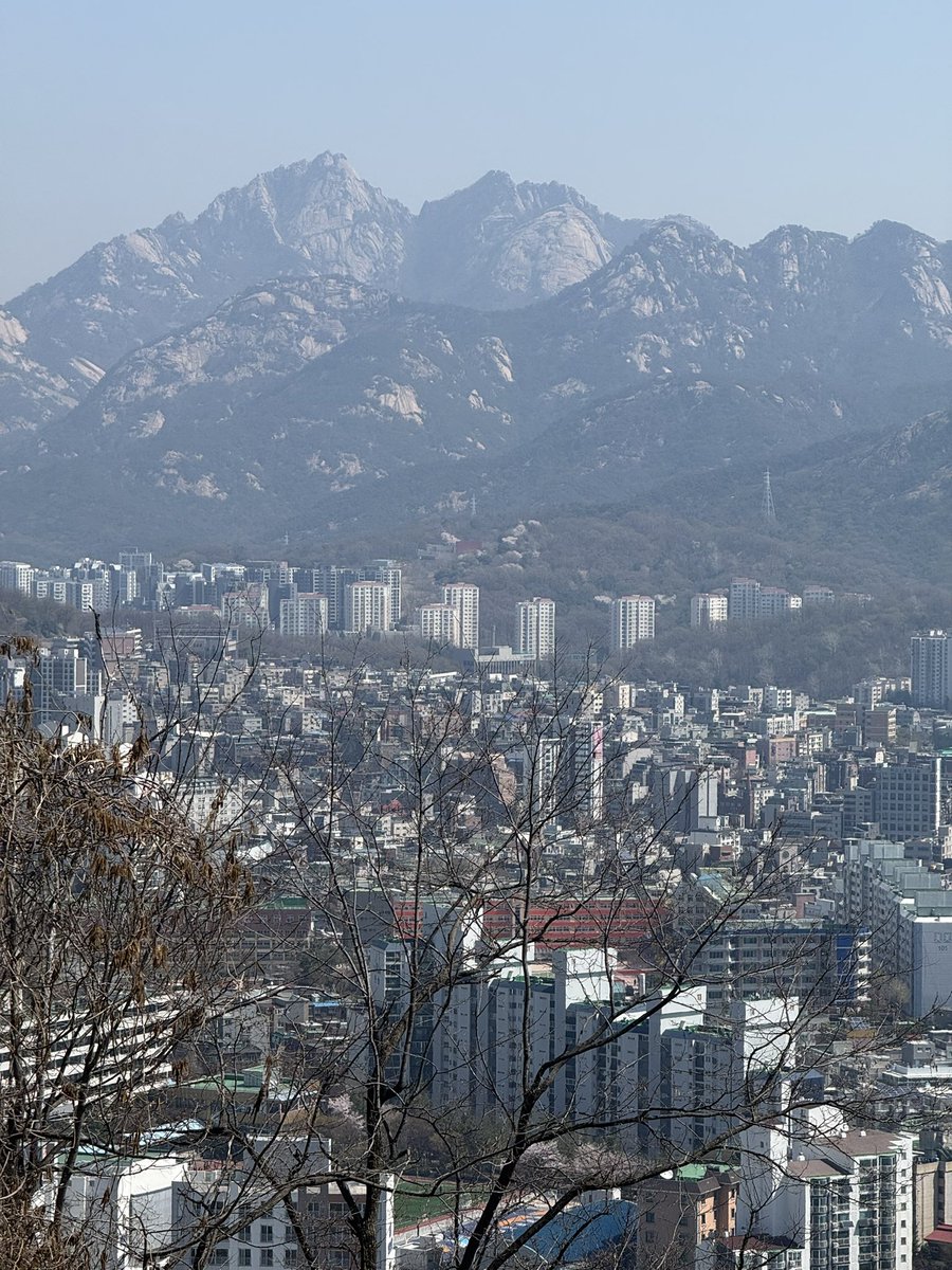 호랑 tweet media