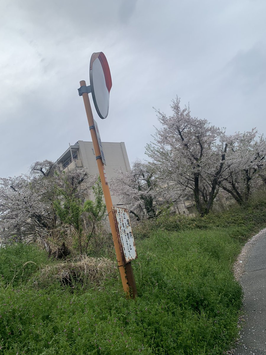 うらら 東大阪 裏あか tweet media