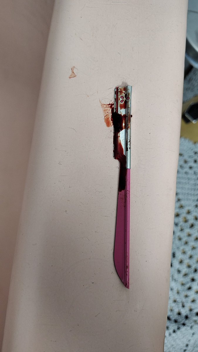 koi / shin. backup tweet media