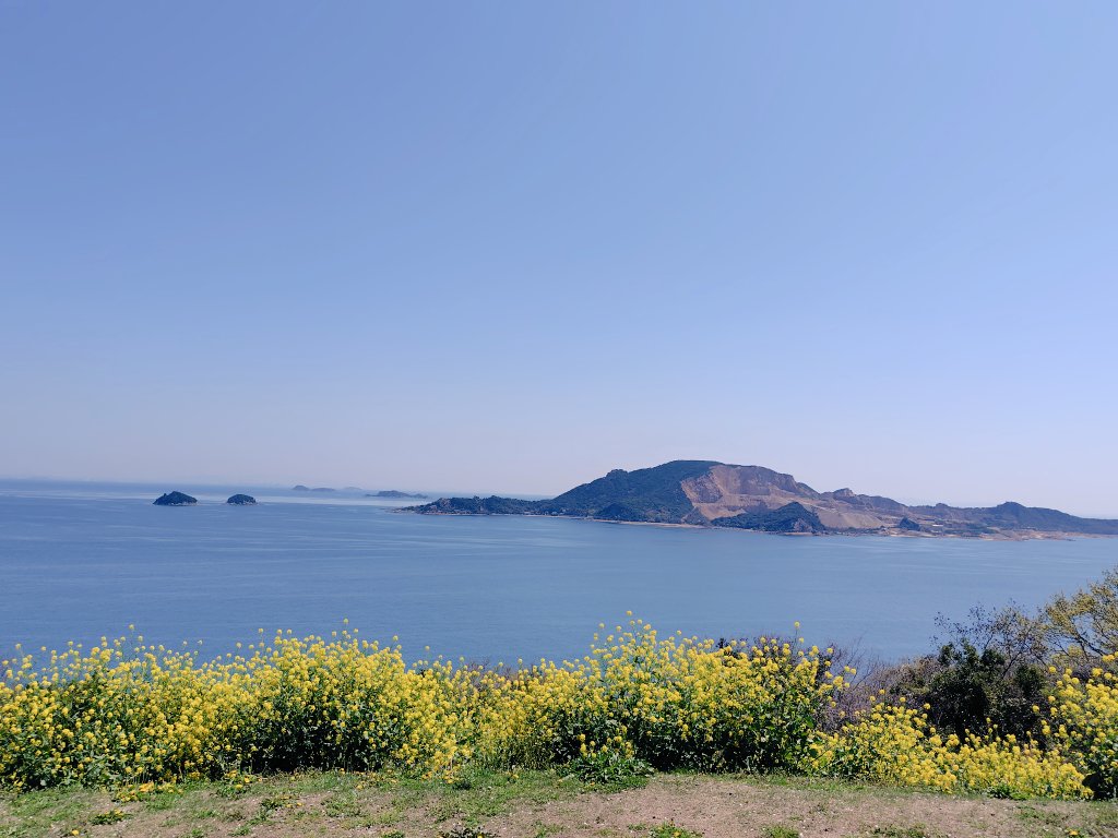 夢の旅人 tweet media