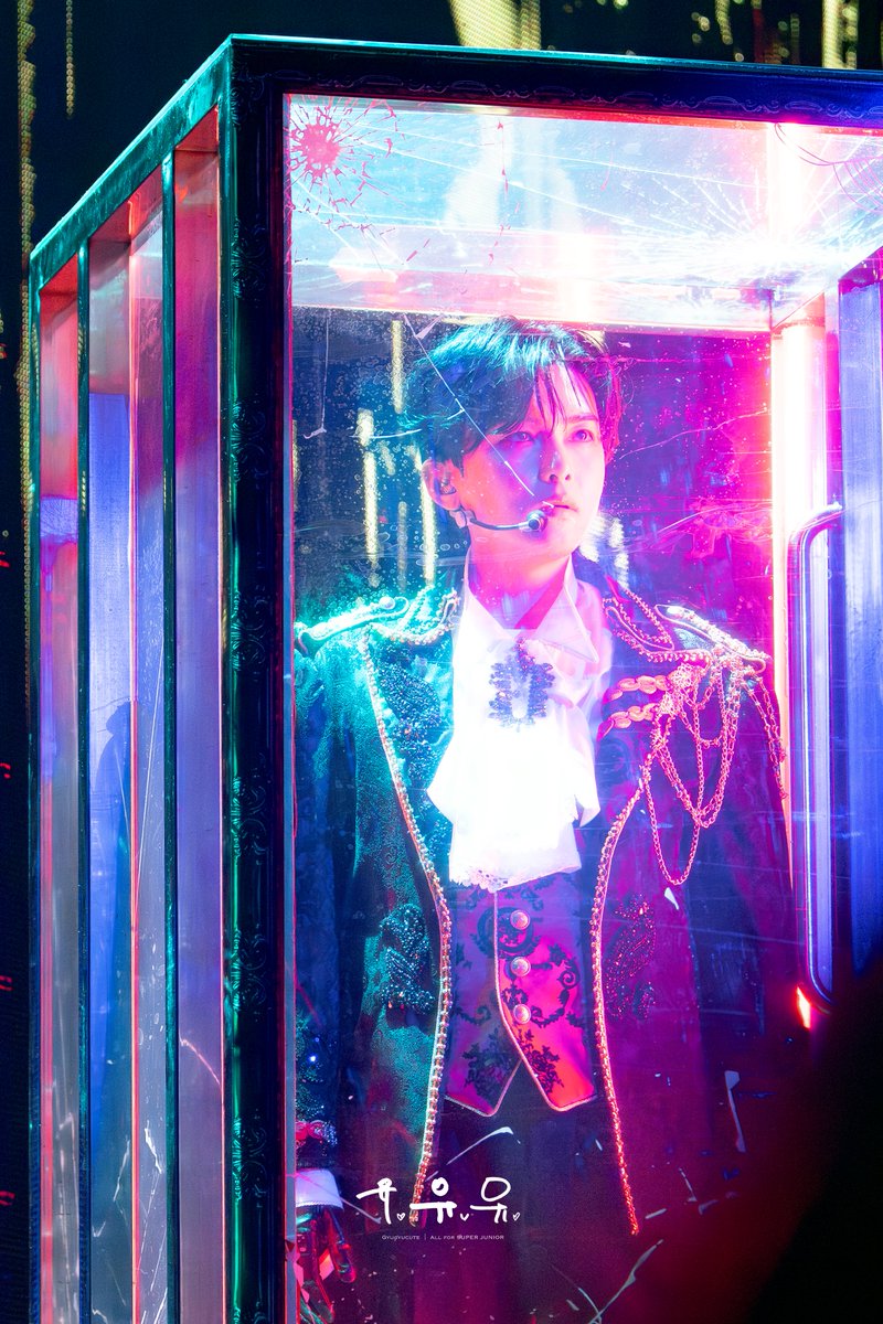 Gyugyucute tweet media