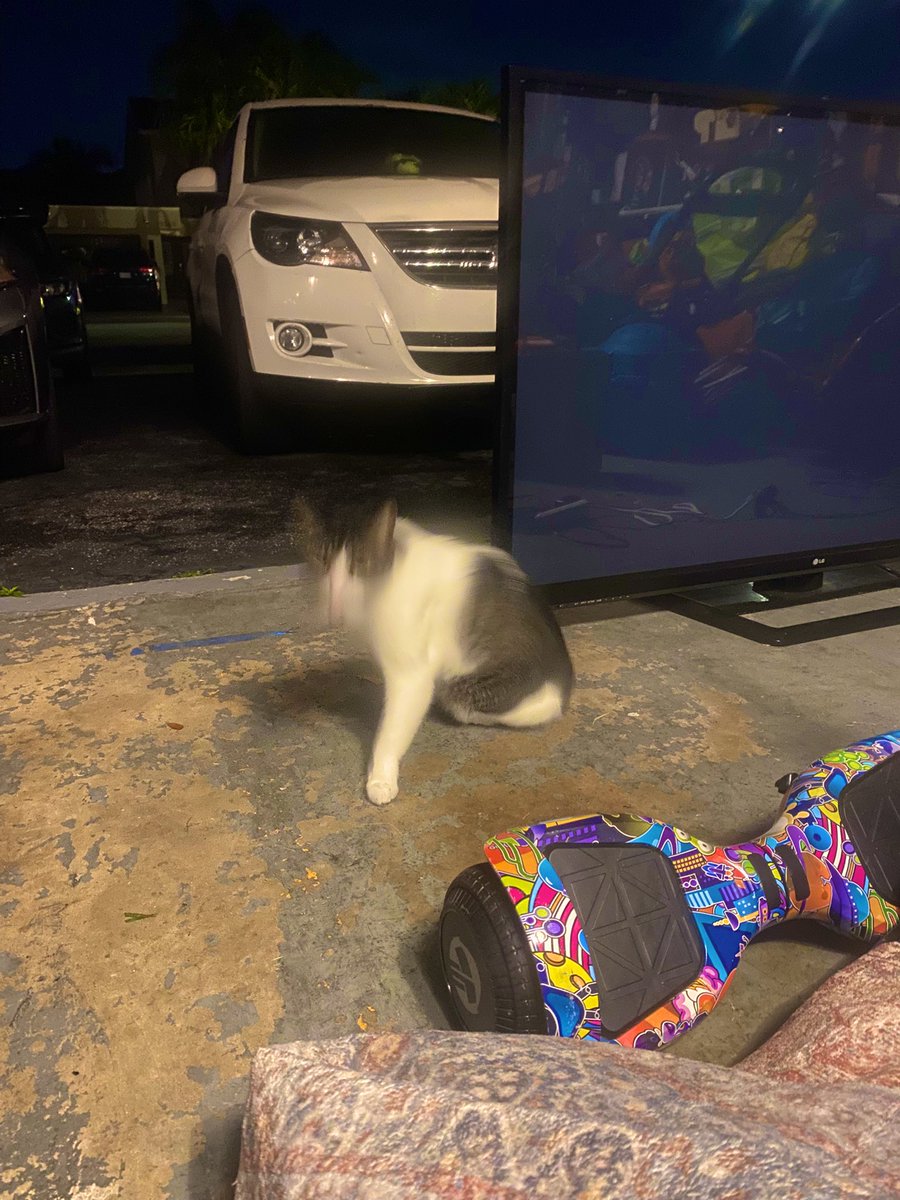 𝕵𝖔𝖘𝖊 tweet media