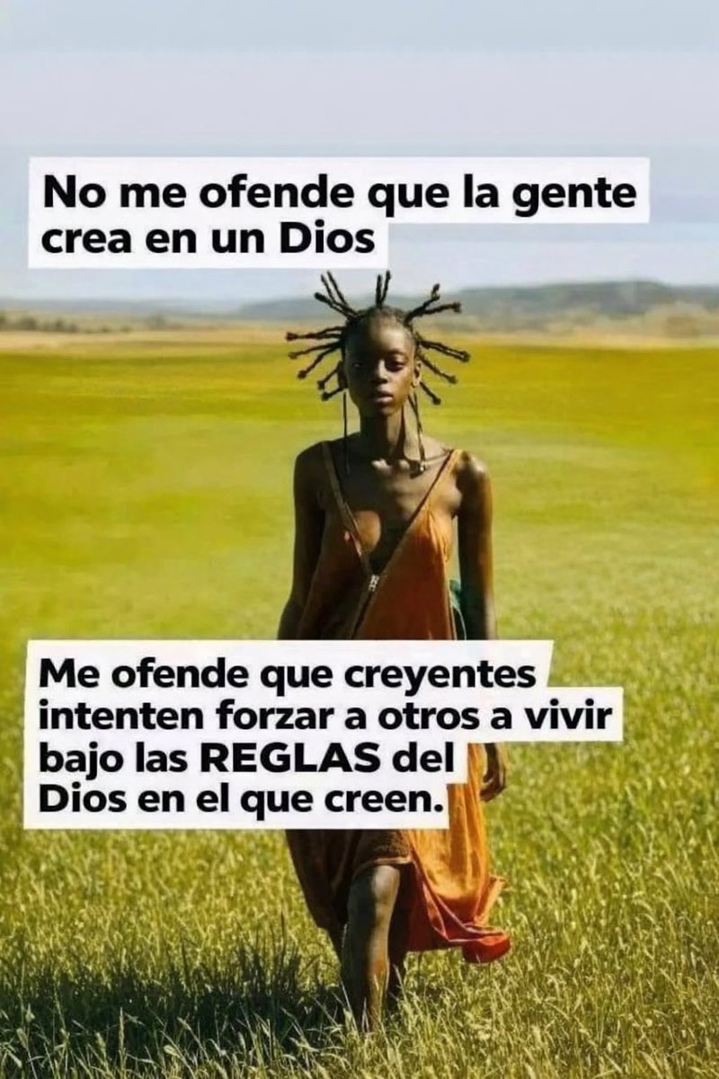 El Profe Rural tweet media