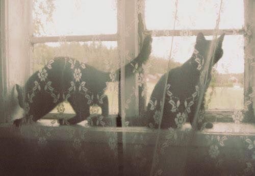 claire ❀ tweet media