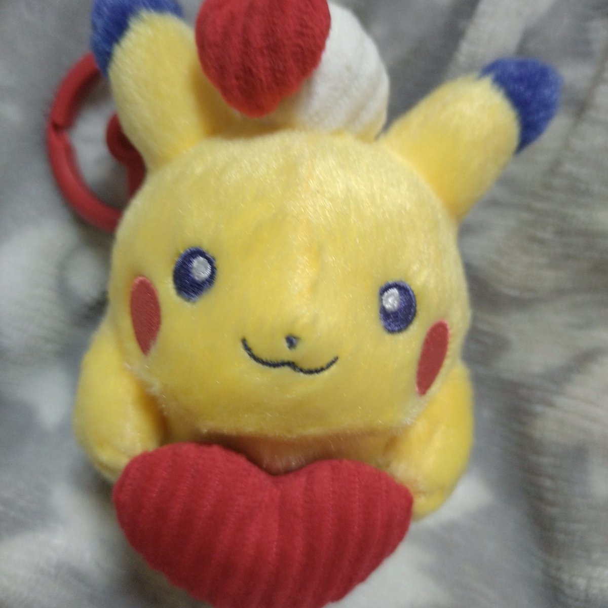 rr_rapan_'s tweet photo. 新入りです https://t.co/6lZFZi9TKe