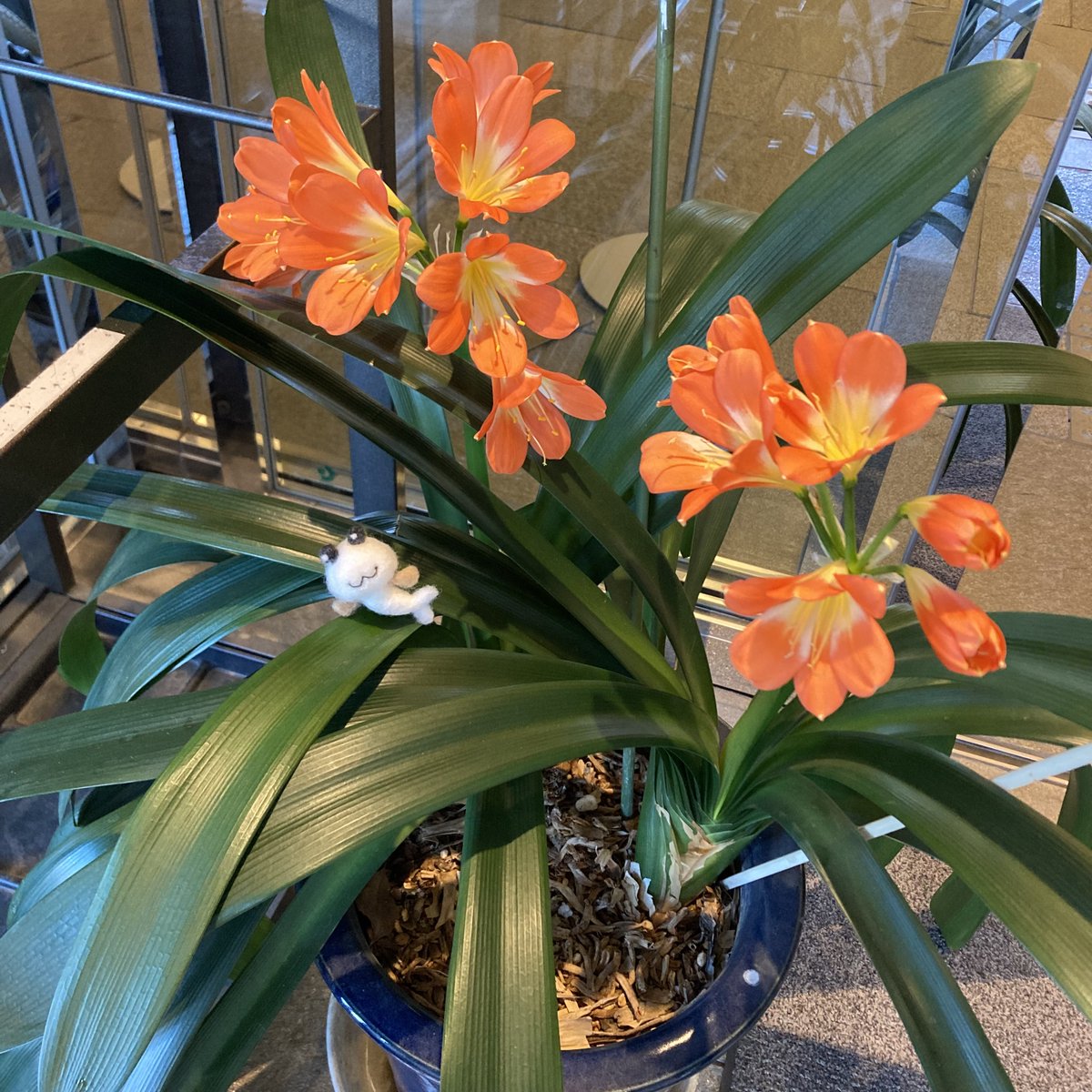 江東区中川船番所資料館 tweet media