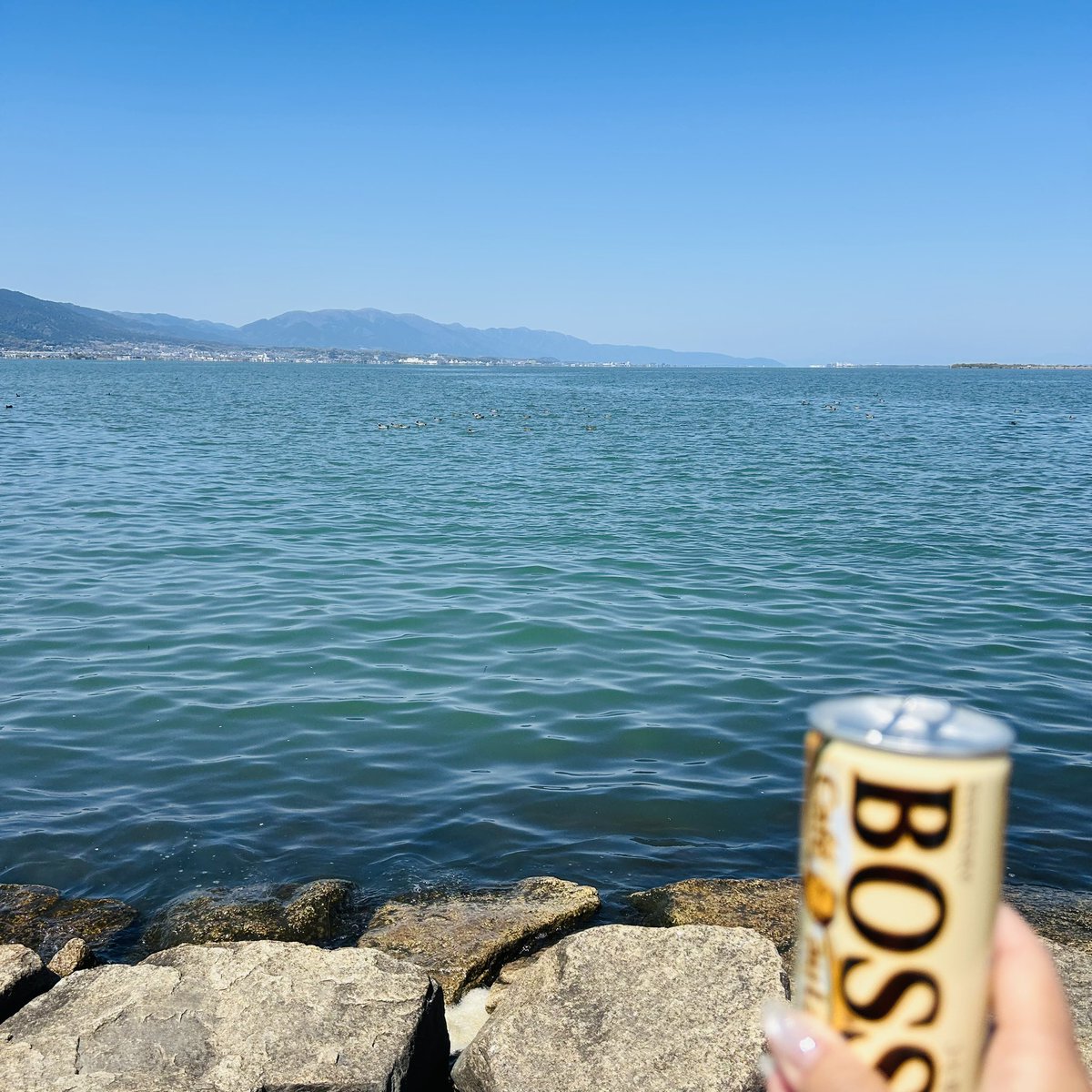 和歌@アパレルせどり tweet media