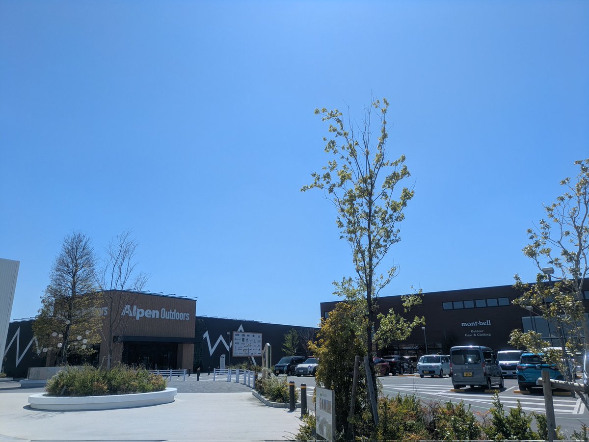 彩ひでCAMP⛺ tweet media