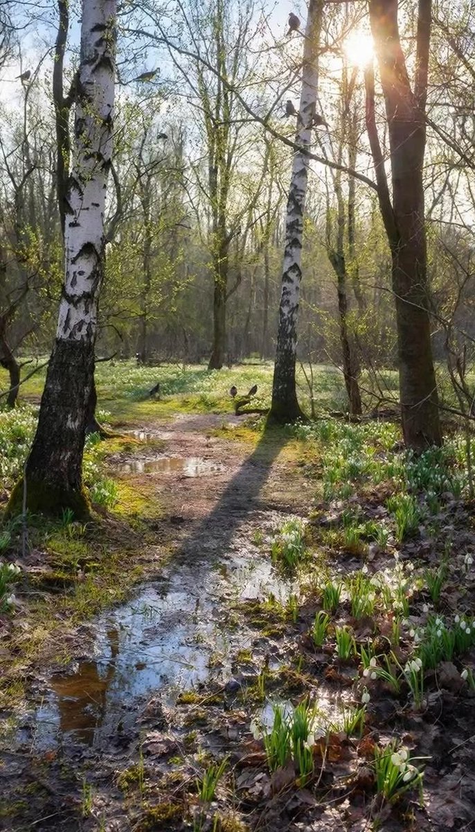 Grzesiek Gałka tweet media