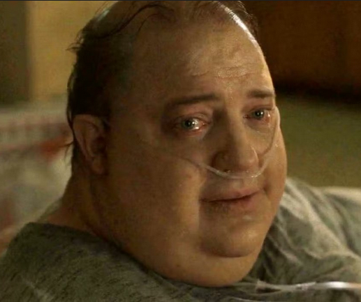 elly 🔜 VGC arc! tweet media