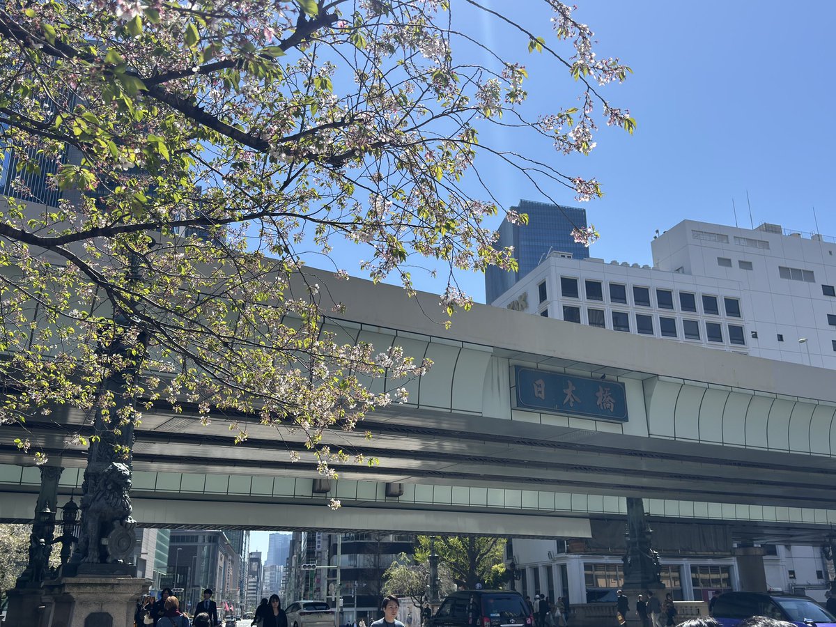 TCL Japan公式 tweet media