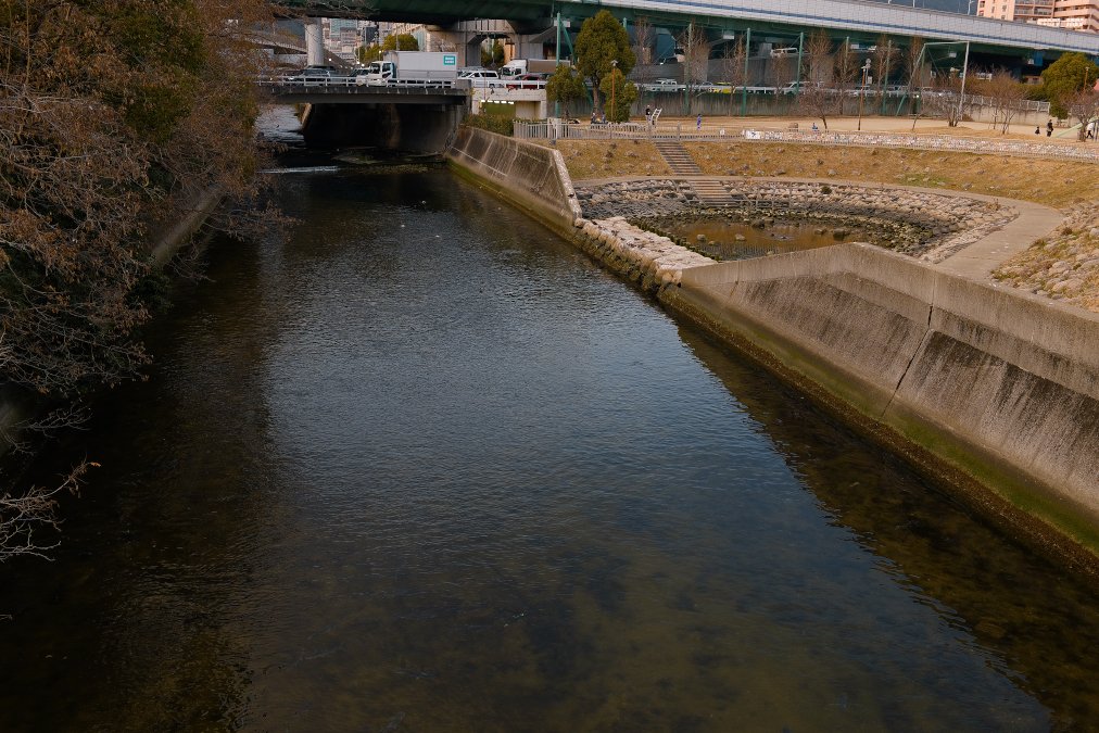 オレンス orens tweet media