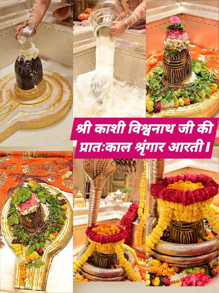 श्री काशी विश्वनाथ जी की प्रातःकाल श्रृंगार आरती I🙏 🔱🌺🚩
#काशीविश्वनाथ
 #kashi 
#महादेव