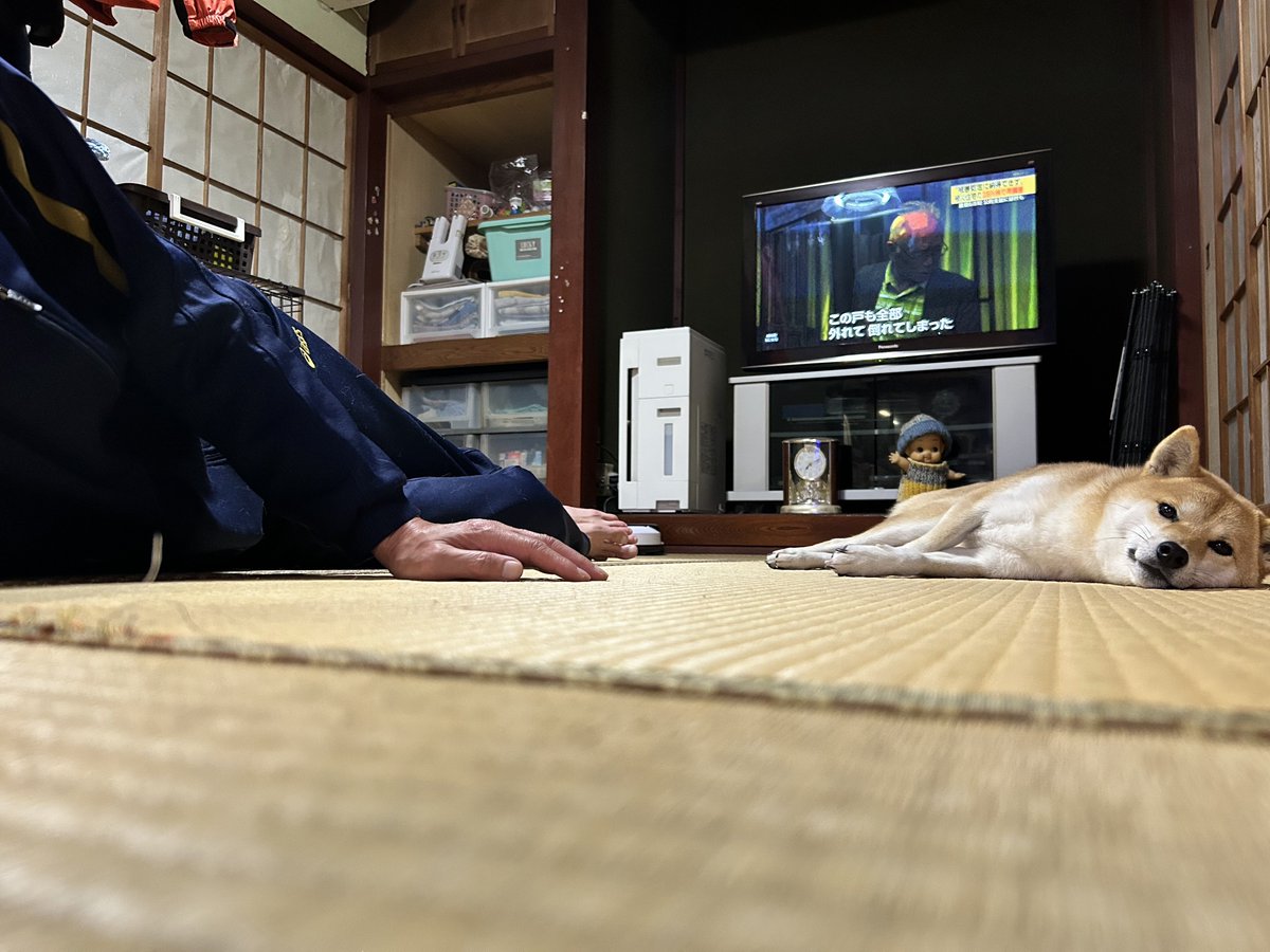 アリナミン tweet media