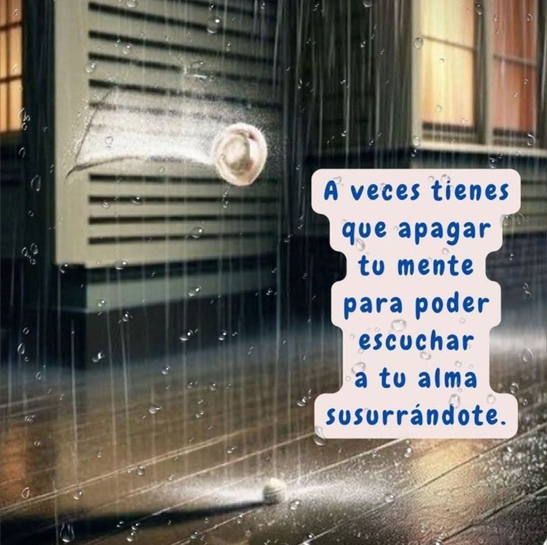 Tremenda tweet media