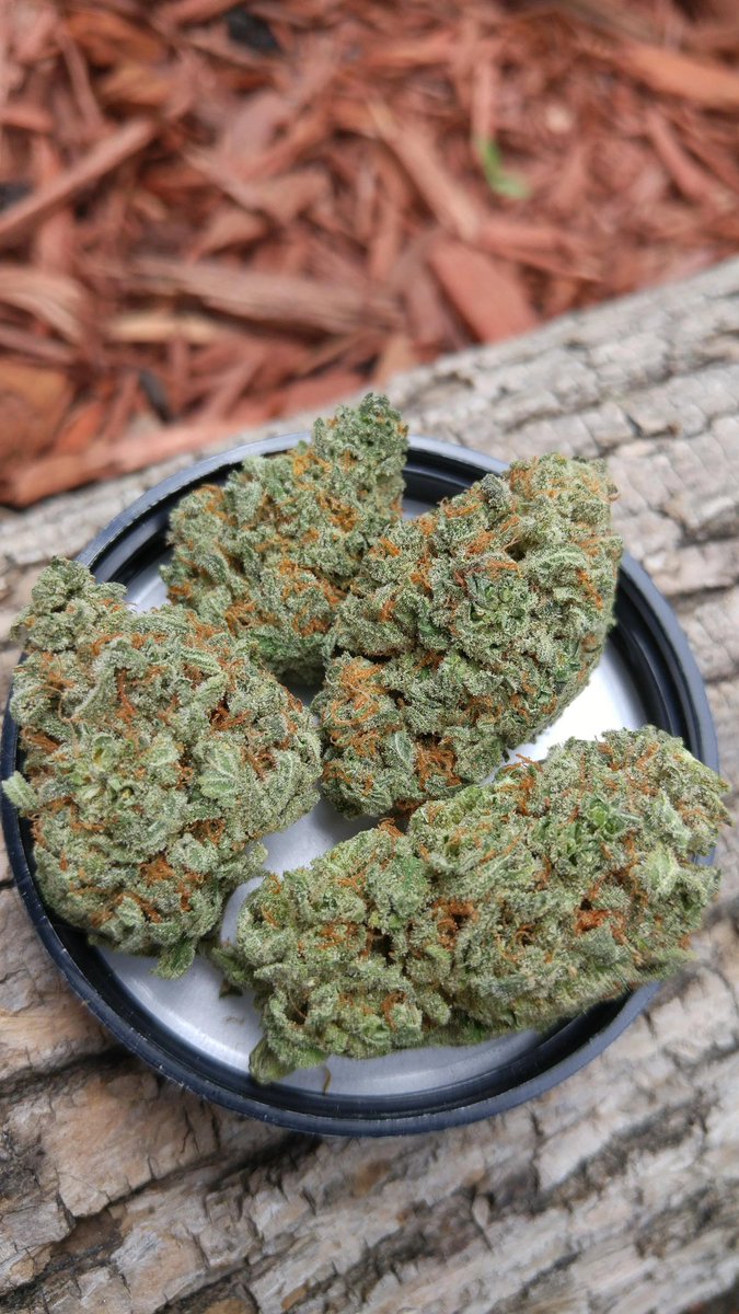ochainz95123's tweet photo. Heavy Motion  ⛽⛽⛽

#chicago Illinois420 Detroit freaks Wisconsin  Michigan  city  Naperville  South bend  #Weed portage  area to Waukegan https://t.co/uiRCryfWgU