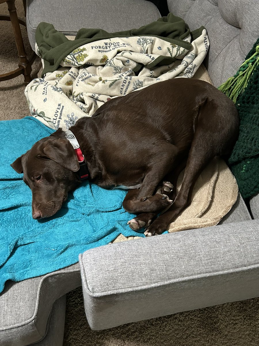 Fly影 🩶 tweet media