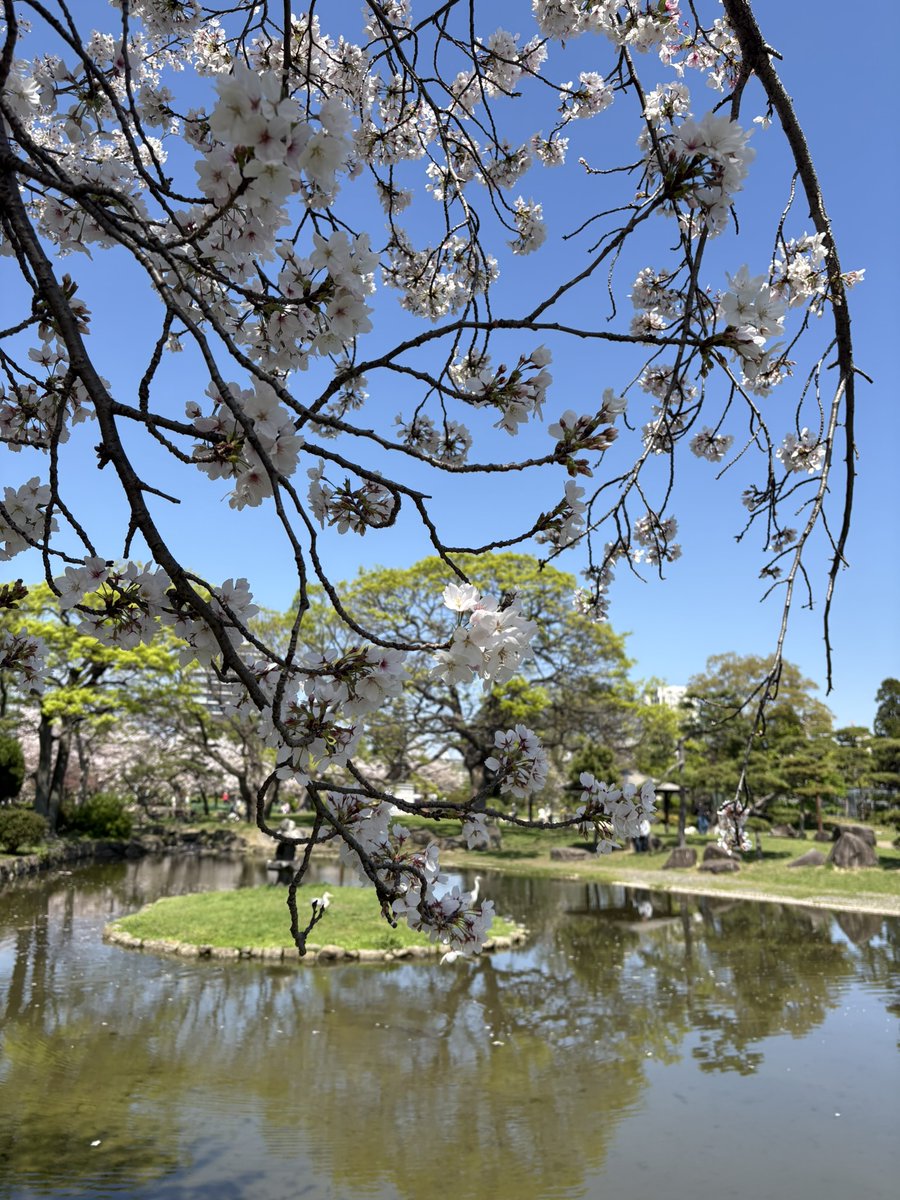 やまとがわよしの tweet media