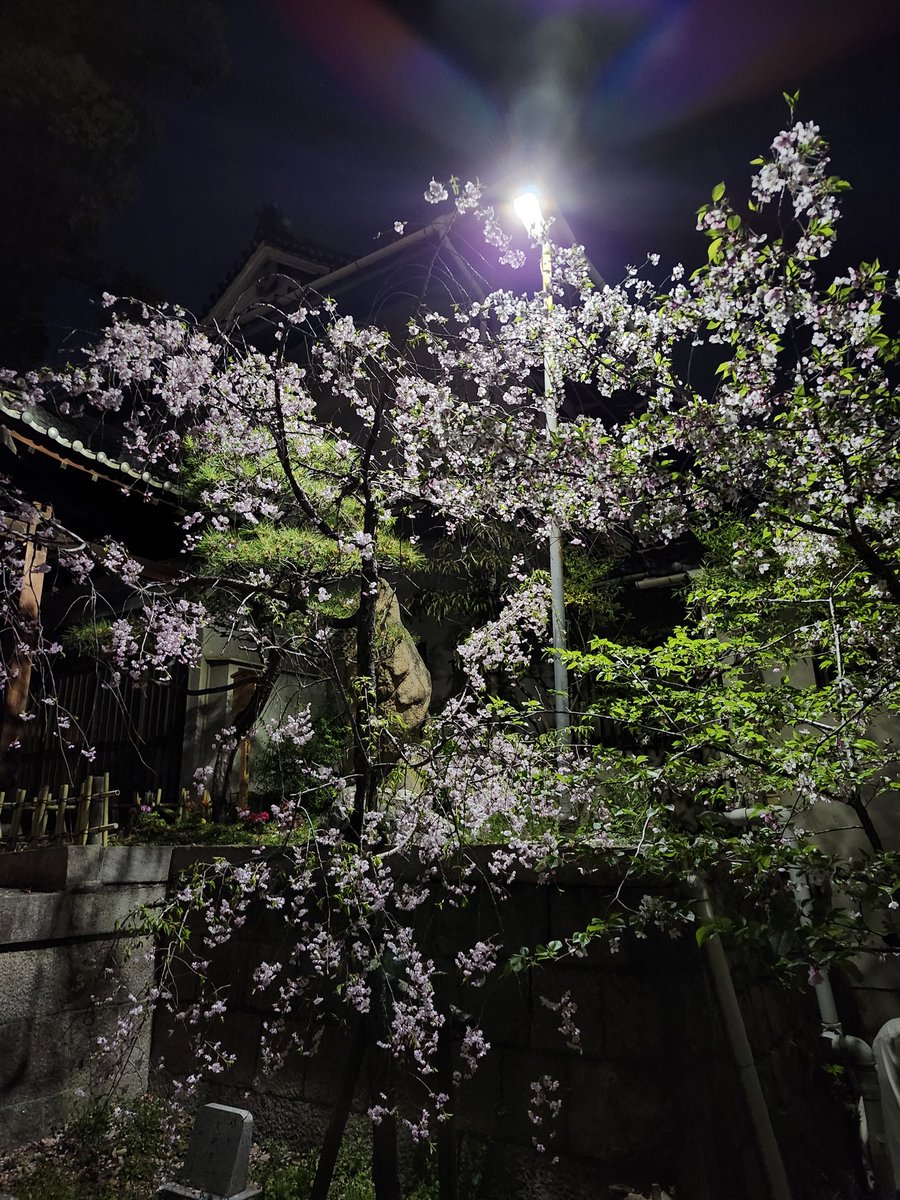 tomocosuke tweet media