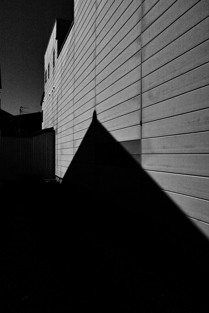 ¹⁰⁴⁶ ⬛️⬜️ tweet media