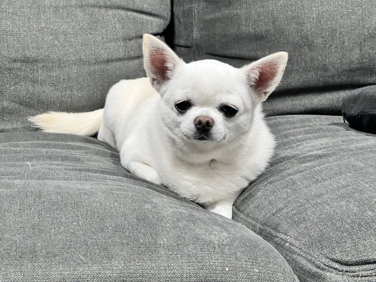 かっちゃん tweet media