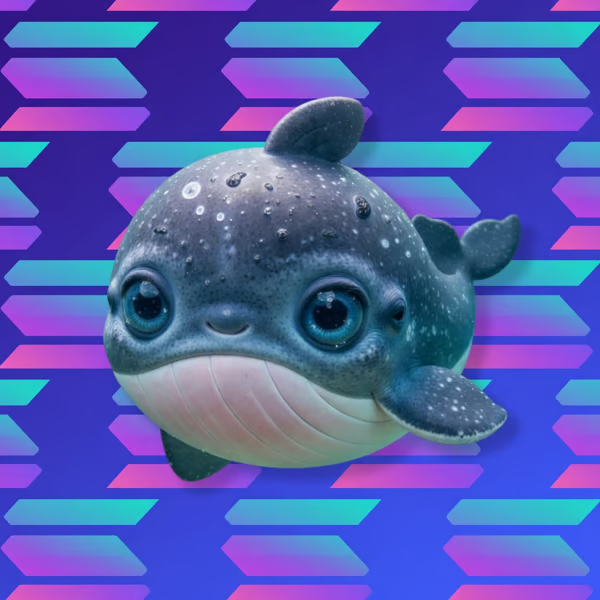 Smaller Whale tweet media