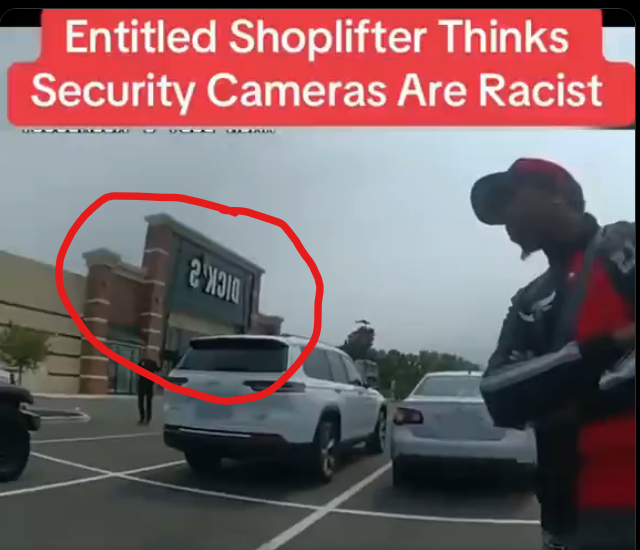 Hydrocloud tweet media