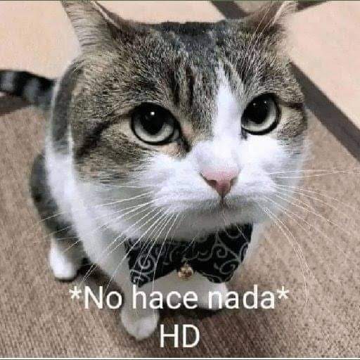 thePhantom tweet media