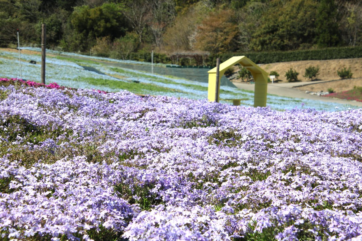 志摩市長　橋爪 政吉 tweet media