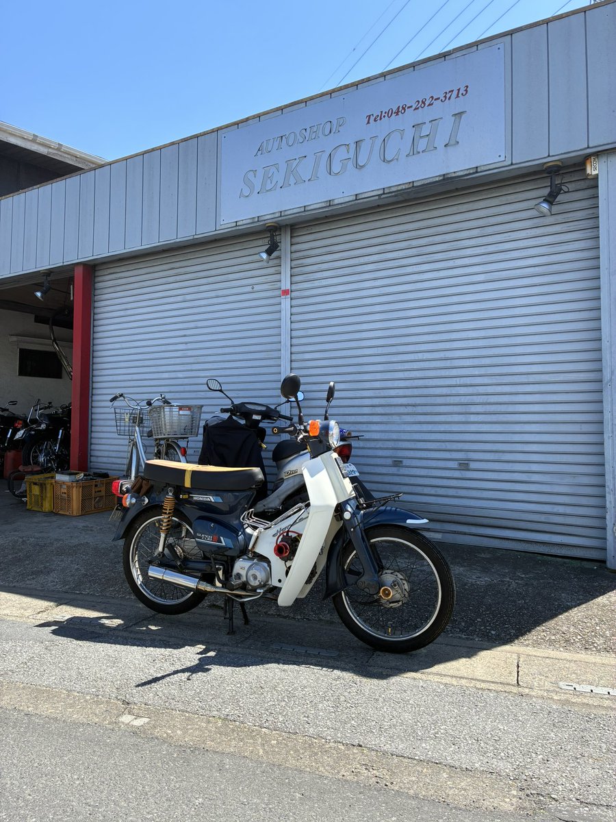 ナナエフ君 tweet media