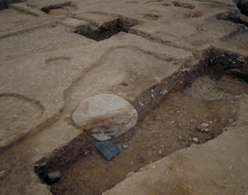 奈良文化財研究所_公式 tweet media