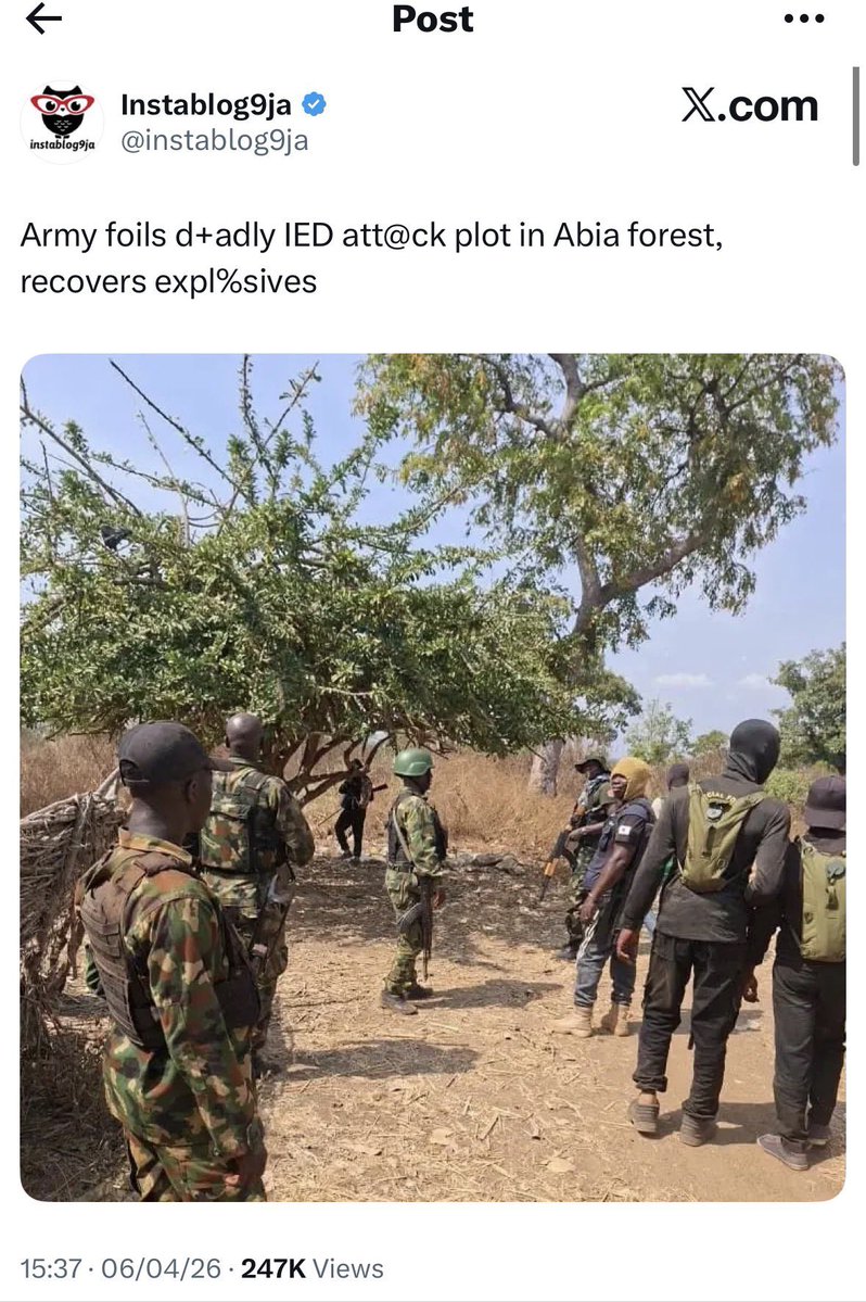 Bia Pulse tweet media