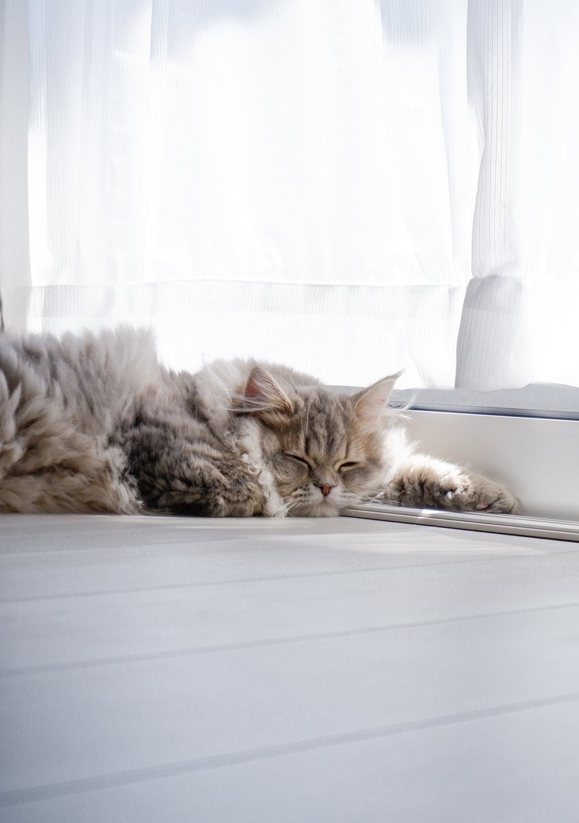 ゆず@横浜駅ポス🥈バディ🥉Thx tweet media