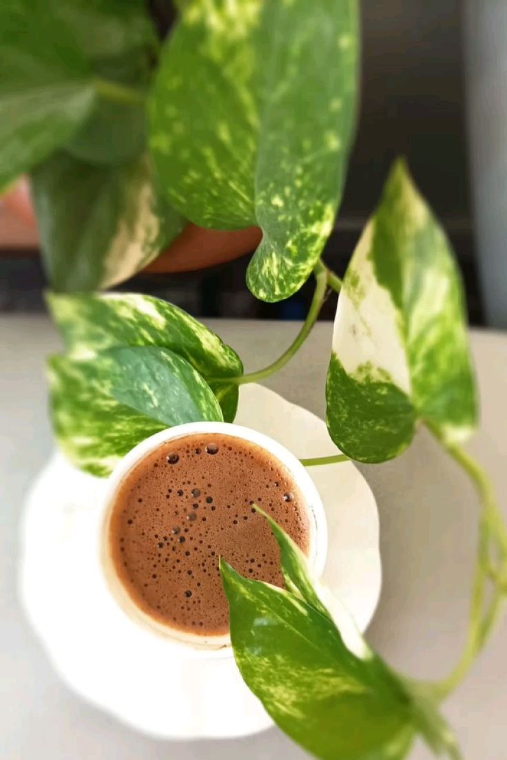 وُيَٻقٌى آلُآمْلُ ‏𓃗 tweet media