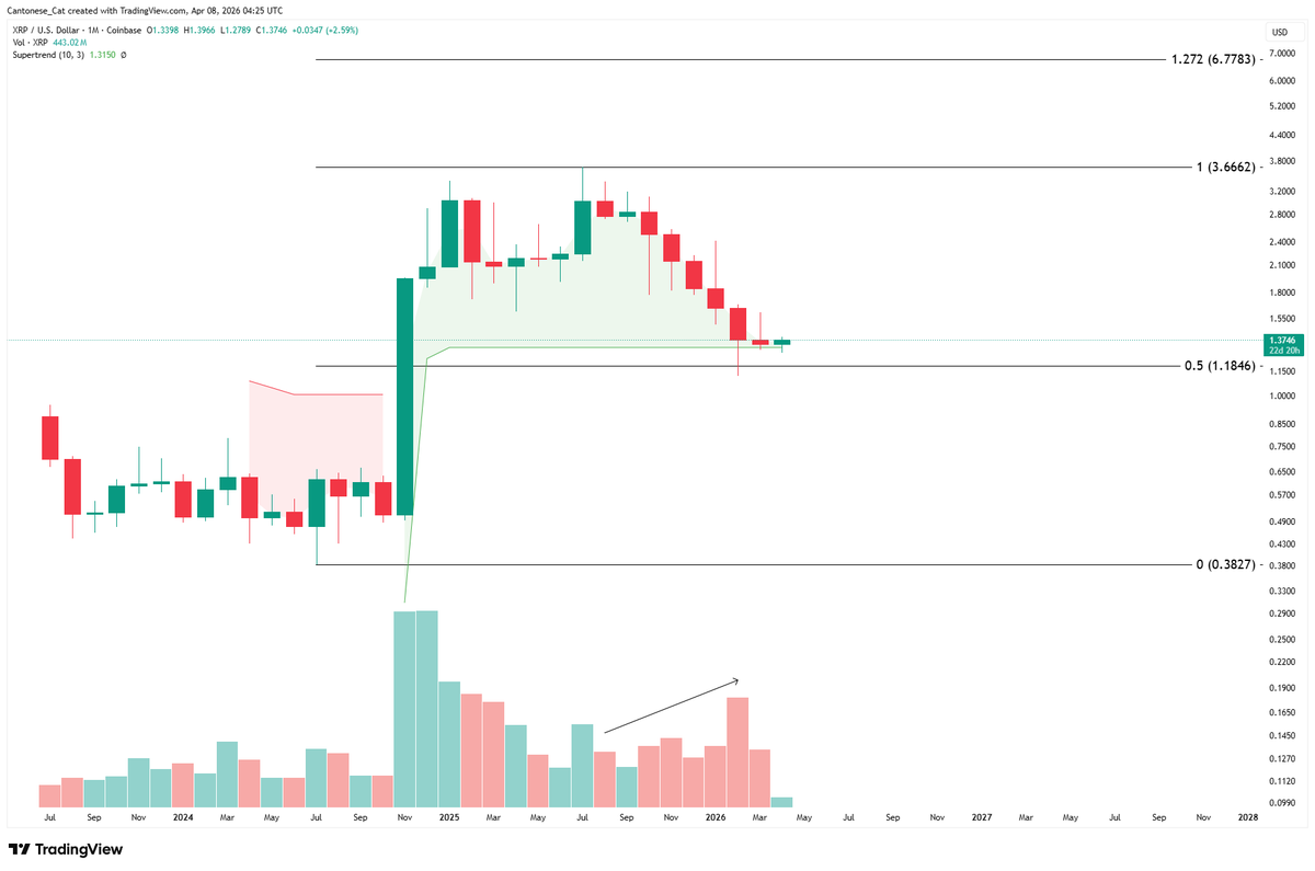 Cantonese Cat 🐱🐈 tweet media